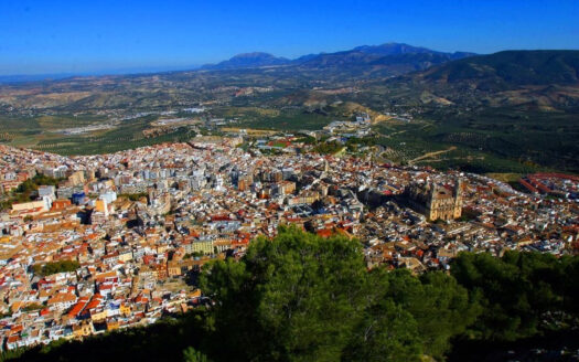 Finca Agrícola y Ganadera en Jaén